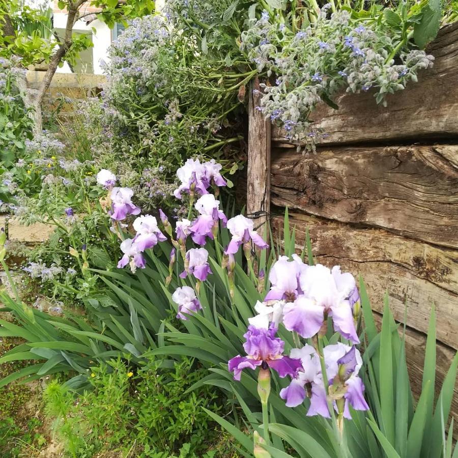 Ca Nostra B&B Home Restaurant Portacomaro Luaran gambar