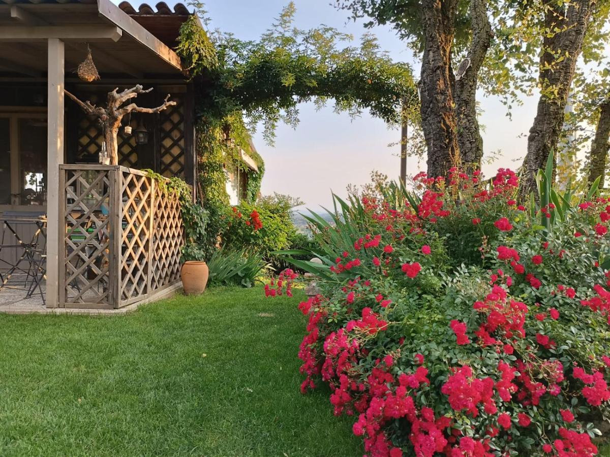 Ca Nostra B&B Home Restaurant Portacomaro Luaran gambar