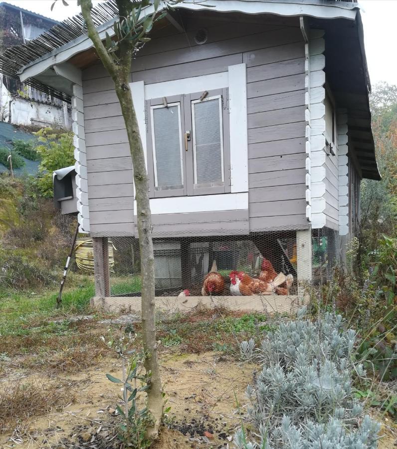 Ca Nostra B&B Home Restaurant Portacomaro Luaran gambar