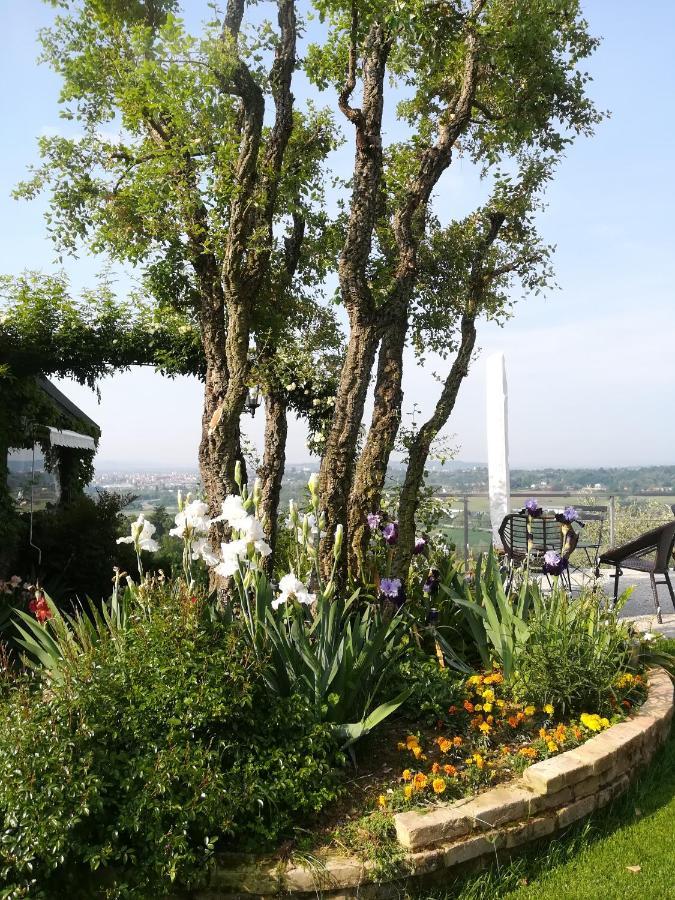 Ca Nostra B&B Home Restaurant Portacomaro Luaran gambar